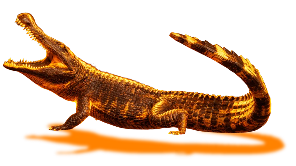 Deinosuchus